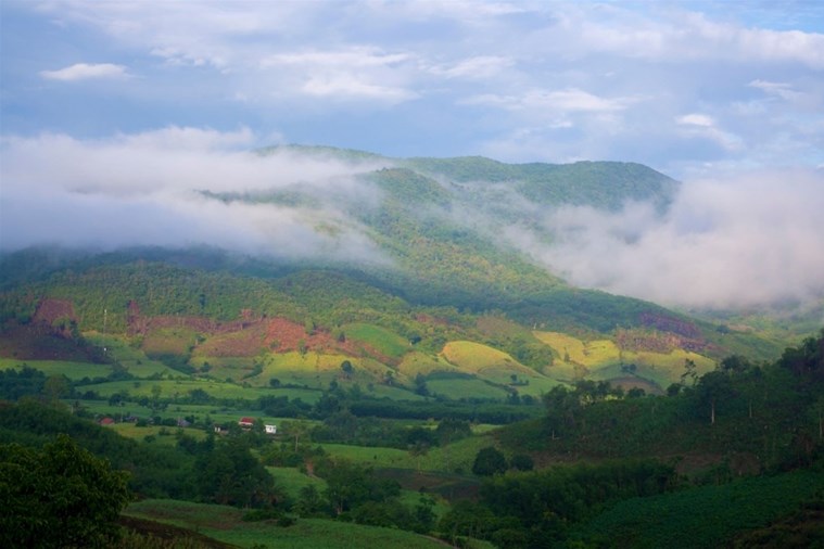 Tour Quy Nhơn – Cao nguyên Vân Hòa 1 Ngày