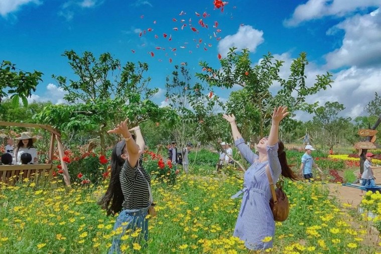 Tour Quy Nhơn – Cao nguyên Vân Hòa 1 Ngày