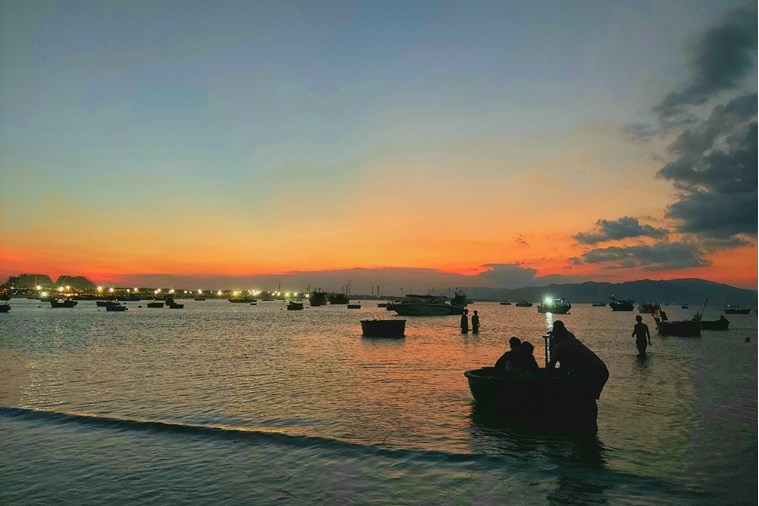 Tour Câu Mực Đêm Quy Nhơn 1 Ngày