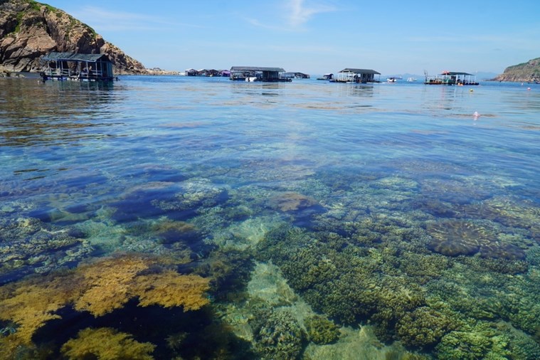 Tour Hòn Khô – Lặn Ngắm San Hô 1 Ngày