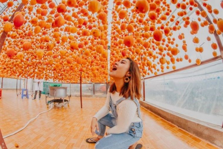 Tour Săn Mây - Đón Bình Minh Đà Lạt