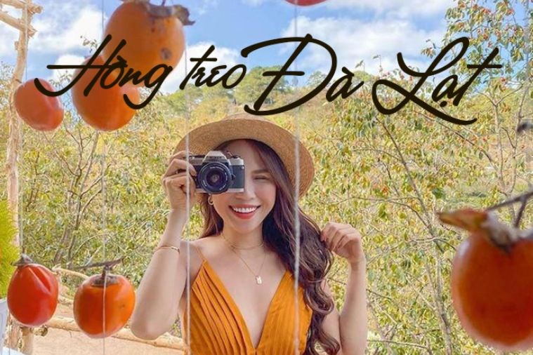 Tour Săn Mây - Đón Bình Minh Đà Lạt