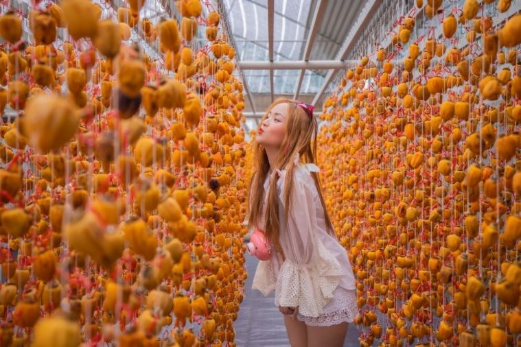 Tour Săn Mây - Đón Bình Minh Đà Lạt