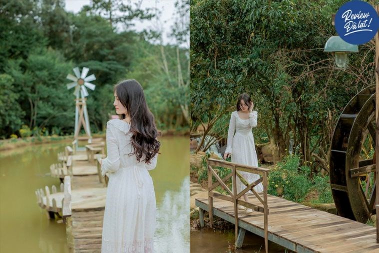 Tour Săn Mây - Đón Bình Minh Đà Lạt