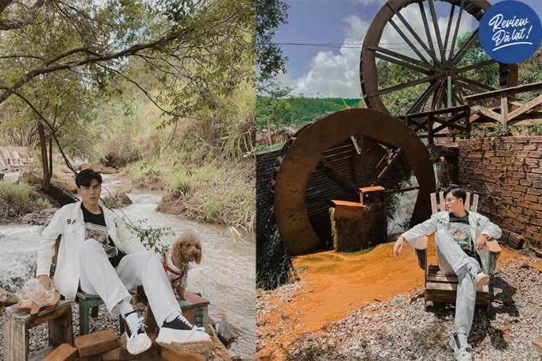 Tour Săn Mây - Đón Bình Minh Đà Lạt