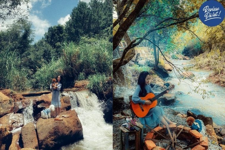 Tour Săn Mây - Đón Bình Minh Đà Lạt