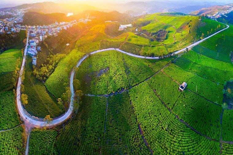 Tour Săn Mây - Đón Bình Minh Đà Lạt