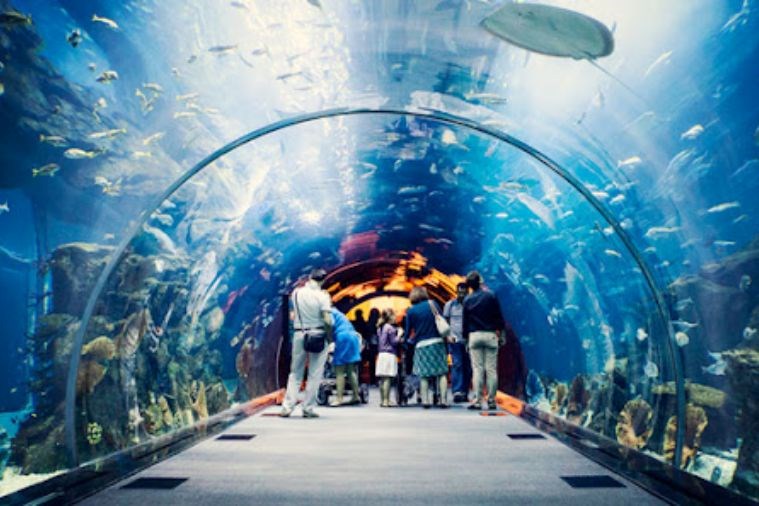 Tour Cano 4 Đảo Nha Trang 1 Ngày