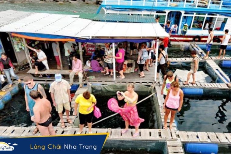 Tour Cano 4 Đảo Nha Trang 1 Ngày