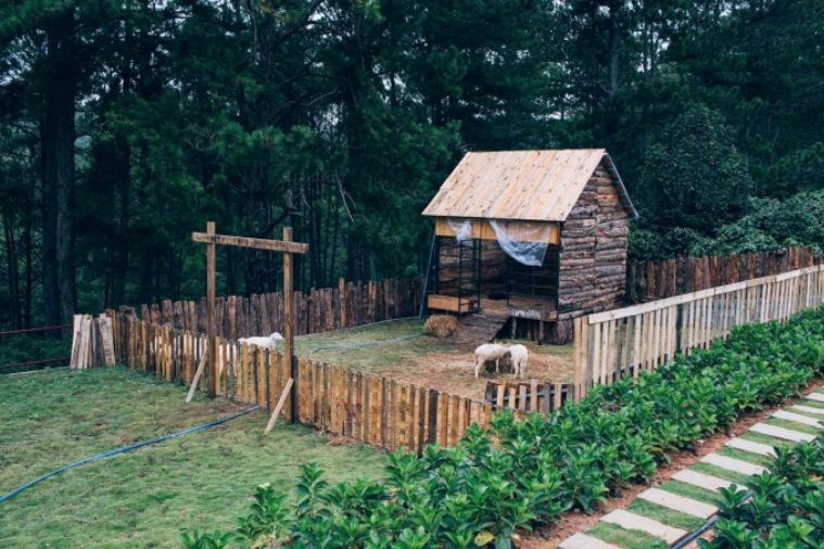 Tour Khám Phá Địa Điểm Mới Đà Lạt 2023