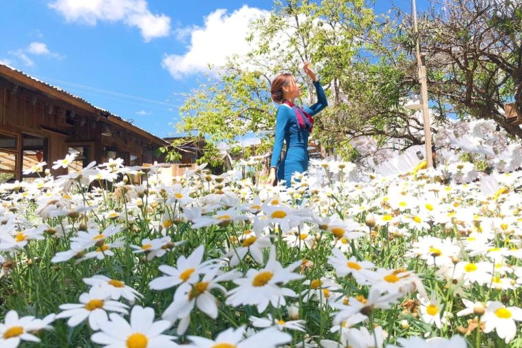 Tour Khám Phá Địa Điểm Mới Đà Lạt 2023