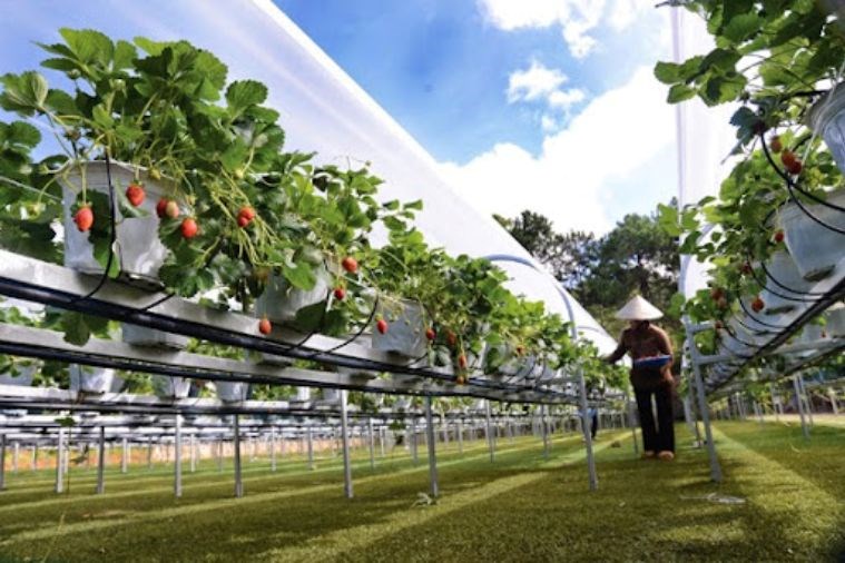 Tour Khám Phá Địa Điểm Mới Đà Lạt 2023