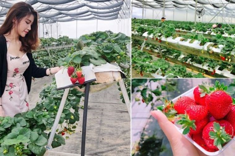 Tour Khám Phá Địa Điểm Mới Đà Lạt 2023