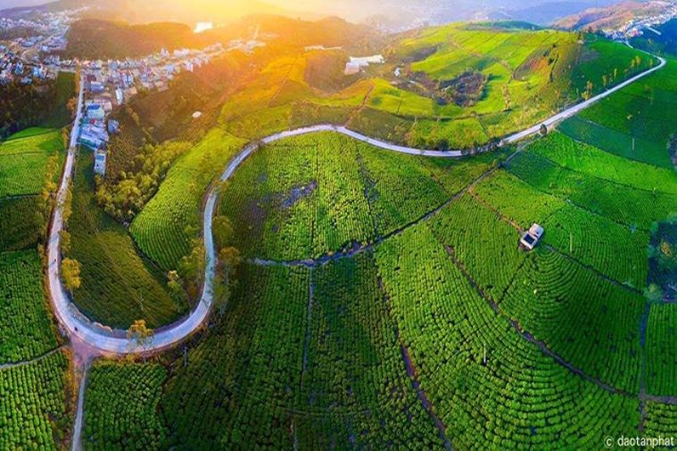 Tour Khám Phá Địa Điểm Mới Đà Lạt 2023