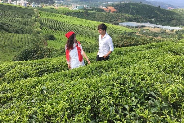 Tour Khám Phá Địa Điểm Mới Đà Lạt 2023