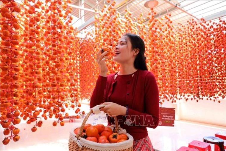 Tour Khám Phá Địa Điểm Mới Đà Lạt 2023