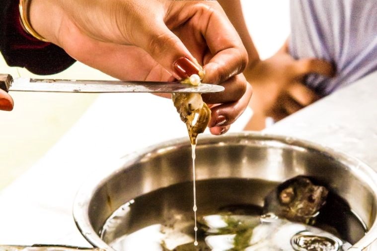 Tour Tham Quan Nam Đảo - Bãi Sao - Địa Trung Hải Phú Quốc