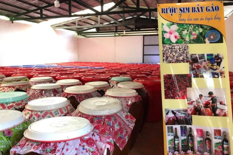 Tour Tham Quan Nam Đảo - Bãi Sao - Địa Trung Hải Phú Quốc