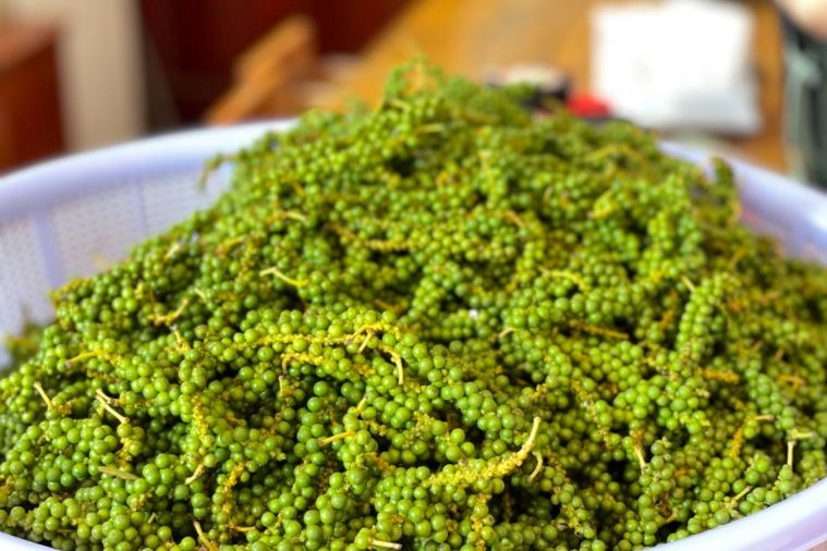 Tour Tham Quan Nam Đảo - Bãi Sao - Địa Trung Hải Phú Quốc