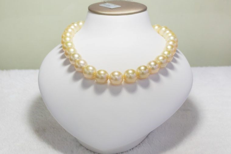  Tour Tham Quan Nam Đảo - Cáp Treo Hòn Thơm 