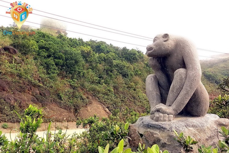 Tham Quan Đà Nẵng - Sơn Trà - Lăng Cô
