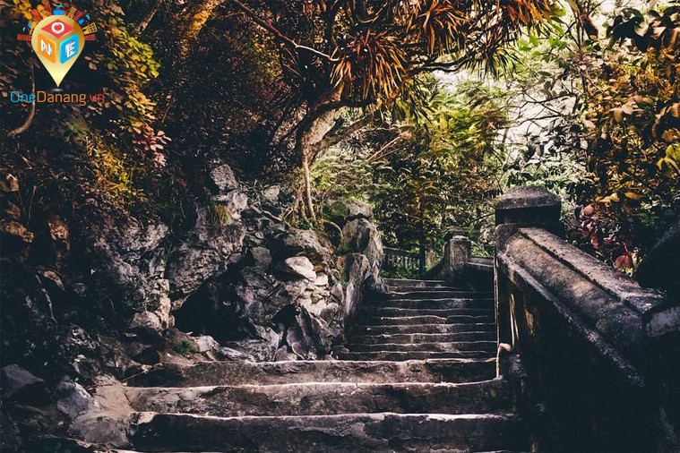 Tour Sơn Trà - Ngũ Hành Sơn - Hội An - Bà Nà - Cù Lao Chàm - Núi Thần Tài 4 ngày 3 đêm