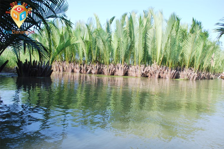 Tour Rừng Dừa Bảy Mẫu - Hội An
