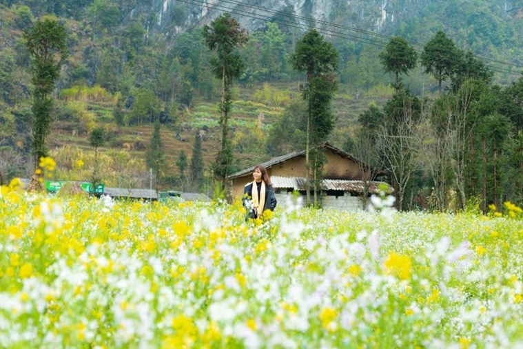 Tour Hà Giang - Sông Nho Quế hùng vĩ 3N2Đ từ Hà Nội Lễ 30/4