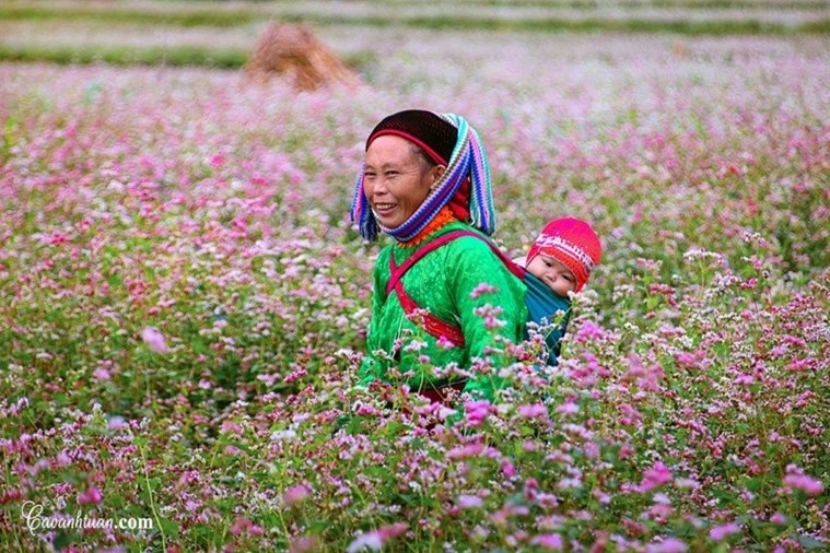 Tour Hà Giang - Sông Nho Quế hùng vĩ 3N2Đ từ Hà Nội Lễ 30/4