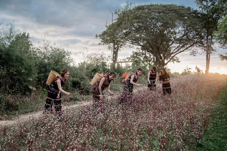 Tour Chùa Sắc Tứ Khải Đoan – KDL Buôn Đôn - Thác Draynur