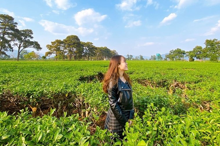 Tour Măng Đen - Kontum - Pleiku 3 Ngày 2 Đêm Khởi Hành từ Đà Nẵng