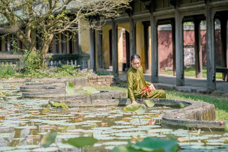  Tour Đà Nẵng - Huế - Quảng Bình - Đại Nội - Động Phong Nha/Thiên Đường 3 Ngày 2 Đêm