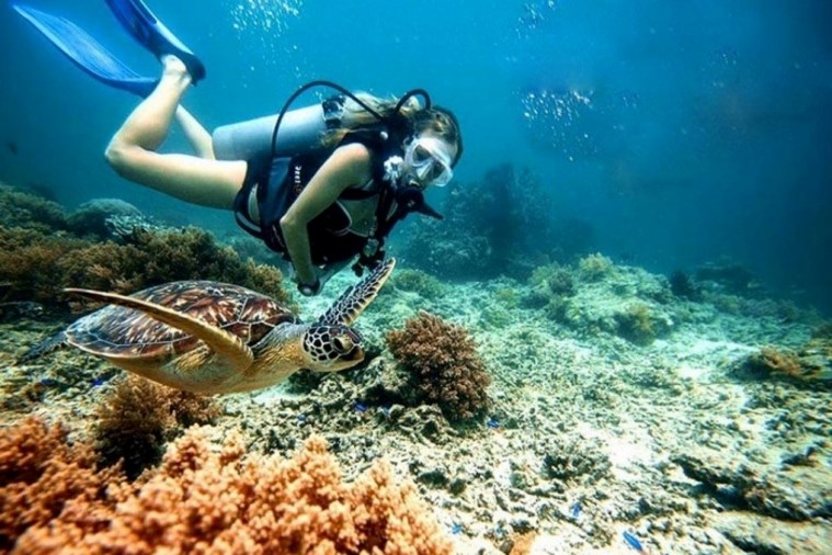 Tour Nha Trang: Du Ngoạn Đảo – Chùa Long Sơn – Tháp Bà Ponagar – Suối Khoáng Tháp Bà 3N2D