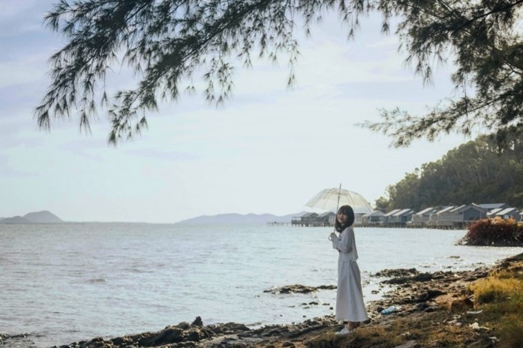 Tour Bạch Mã - Cầu Hai 2 Ngày 1 Đêm Khởi Hành từ Đà Nẵng 