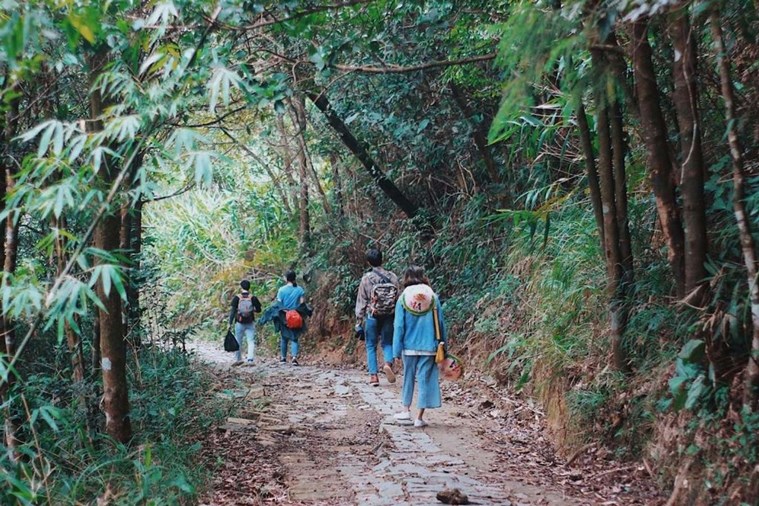 Tour Bạch Mã - Cầu Hai 2 Ngày 1 Đêm Khởi Hành từ Đà Nẵng 