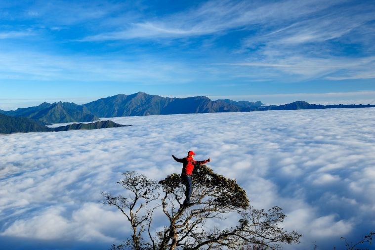 Tour Mộc Châu - Cầu Kính Bạch Long - Săn Mây Tà Xua 2N1Đ
