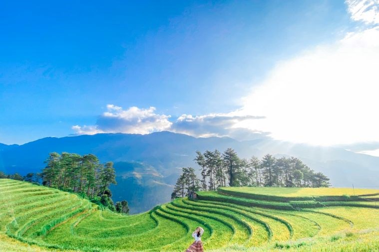 Tour Mù Cang Chải - Ngọc Chiến - Tà Xua Mùa Lúa Chín 3N2Đ