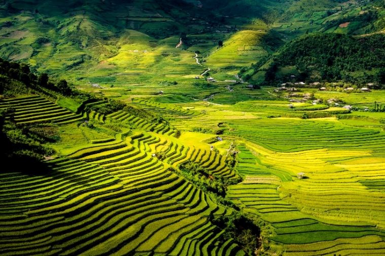 Tour Mù Cang Chải - Ngọc Chiến - Tà Xua Mùa Lúa Chín 3N2Đ