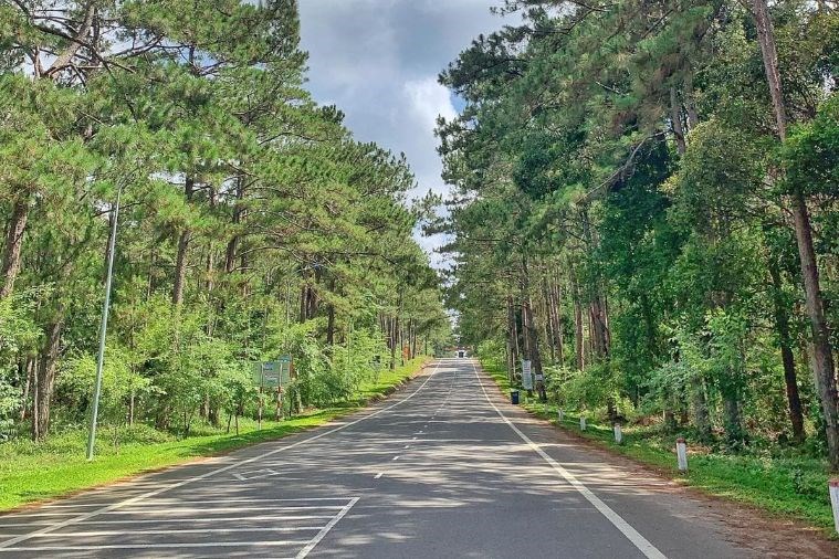 Tour Đà Nẵng- Măng Đen 2N1Đ