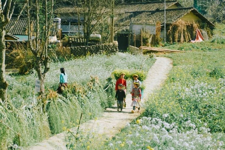 Tour Hà Nội - Hà Giang Cao Nguyên Đá Đồng Văn 3D2N