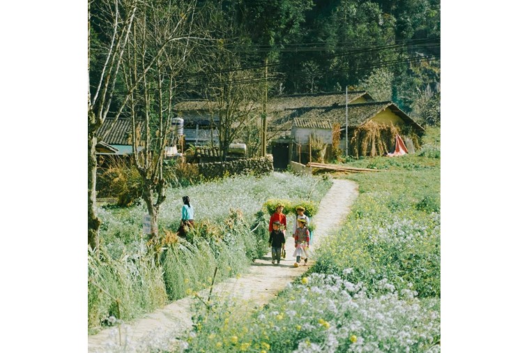 Tour Hồ Chí Minh  - Hà Nội - Hà Giang 4N4Đ