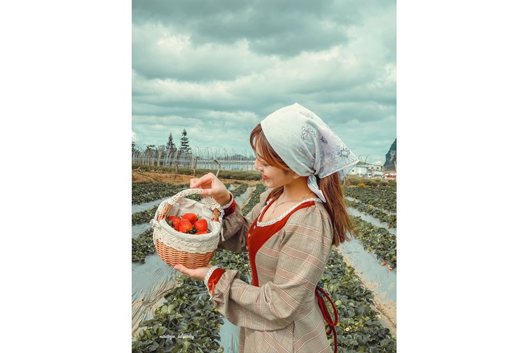 Tour Hà Nội - Mai Châu - Mộc Châu 2N1Đ