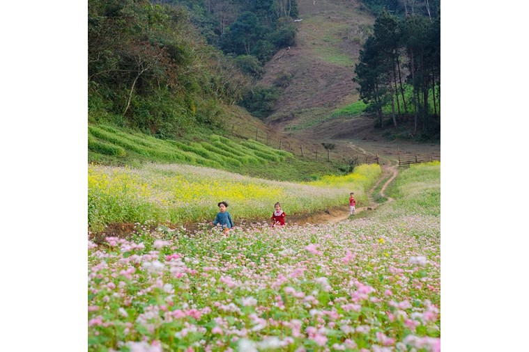 Tour Hà Nội - Mai Châu - Bản Lác 1 Ngày.