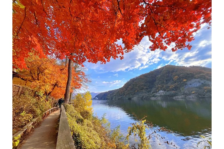 Tour Hàn Quốc:  Seoul - Busan - Daegu 5N5D Khởi Hành từ Hồ Chí Minh