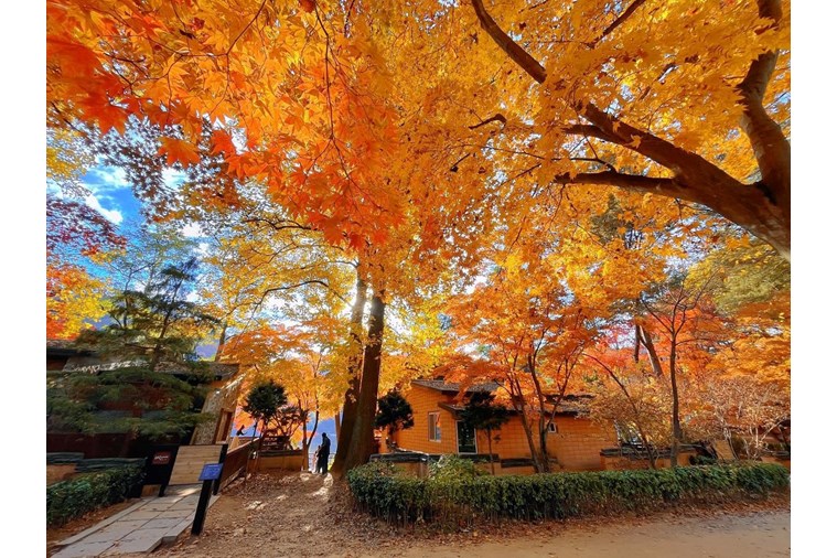 Tour Hàn Quốc:  Seoul - Busan - Daegu 5N5D Khởi Hành từ Hồ Chí Minh