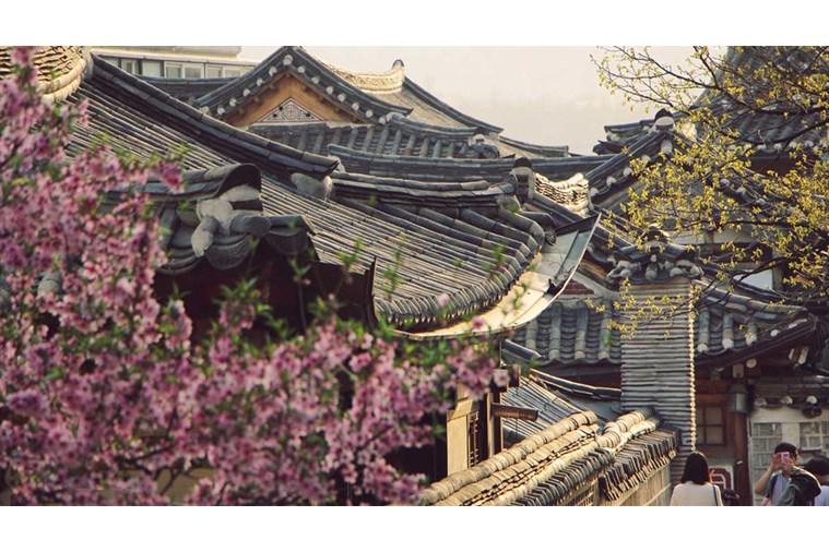 Tour Hàn Quốc: Nami - Seoul - Lotte World - Painter Show - Bukchon Hanok 5N4D Khởi Hành từ Hồ Chí Minh