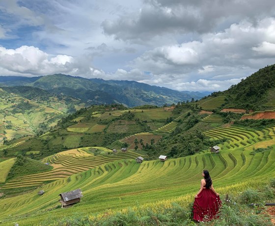 Tour Đà Nẵng - Hà Nội - Mù Cang Chải - Sapa 4N3Đ