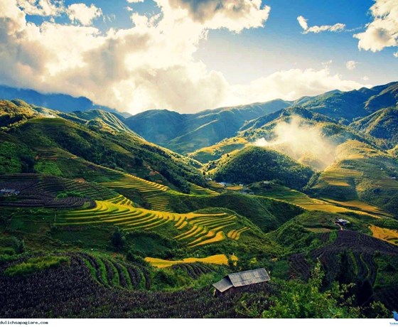 Tour Sapa - Cát Cát/ Moana - Fansipan 3N2D