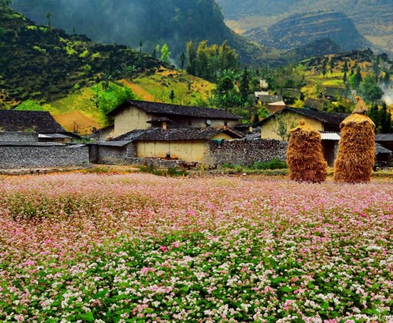 Tour Hồ Chí Minh  - Hà Nội - Hà Giang 4N4Đ