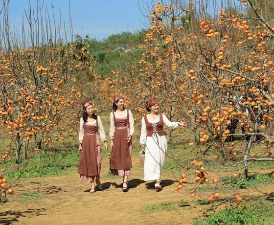 Tour Hà Nội - Mai Châu - Mộc Châu 2N1Đ